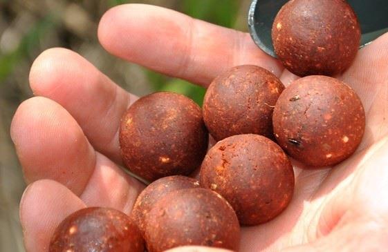 3 retete de boilies recomandate pentru mixurile Senzor